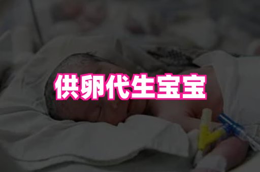 gfg孕网 1
