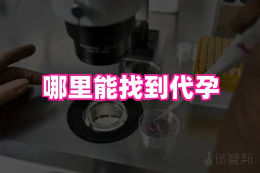 gfg孕网 4